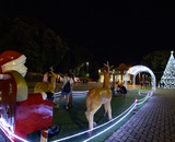 Natal, Luz e Magia de Piracicaba/SP terá várias atrações até 23 de dezembro com shows e apresentações; veja a programação!