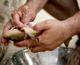 Como limpar peixe: confira as dicas do TudoGostoso