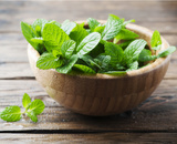 Como plantar hortelã em casa: veja as dicas