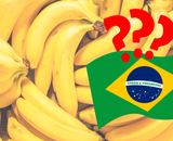 É verdade que a banana é uma fruta brasileira? TudoGostoso acaba com a dúvida de uma vez por todas!