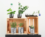 Decoração com materiais reciclados: confira as dicas