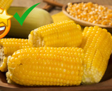 Benefícios do milho: entenda o impacto desse ingrediente na saúde e qual é a melhor forma de consumi-lo