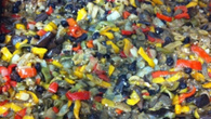 Caponata a Caniato