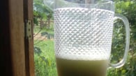 Suco de manga verde