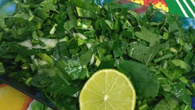 Salada de rúcula