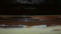 Pavê de chocolate com biscoito de maisena diferente