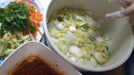 Kimchi Brasileiro