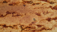 Massa para Tortas Salgadas