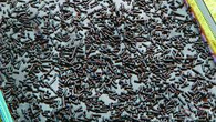 Pavê de Brigadeiro