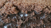 Rocambole de chocolate com recheio de brigadeiro mole
