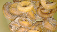 Rosquinha caseira