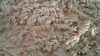 Macarrão com atum e maionese