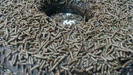 Brigadeirao de microondas
