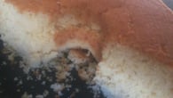 Bolo de arroz com coco