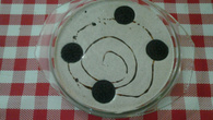 Mousse de Oreo (Bolacha)