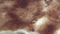 Pavê cremoso