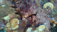 Molho de champignon para carnes
