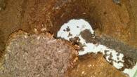 Bolo de açaí com coco ralado