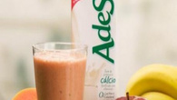 Vitamina de frutas com Ades