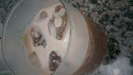 Bebida tipo Amarula caseira