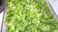 Salada especial
