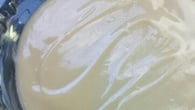 Creme de baunilha