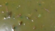 Sopa de Ervilha