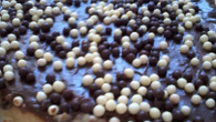 Creme de bananas com cobertura de chocolate