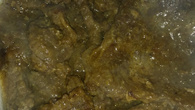 Assado de panela fácil (desfiando)