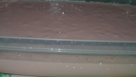 Sobremesa tipo danone caseiro