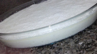 Bolo de tapioca tudo de bom