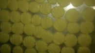 Biscoito de leite condensado e coco fácil