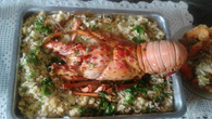 Lagosta com risoto de camarão