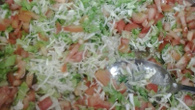Salada de Rúcula e Manga