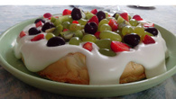 Pavlova diet