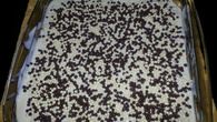 Pavê de Ganache