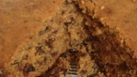 Bolo de ameixas e passas