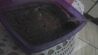 Brownie de micro-ondas rápido e prático