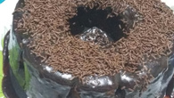 Cobertura de chocolate para bolo rápida