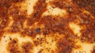 A melhor pizza de sardinha
