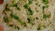Moyashi - broto de feijão