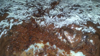 Bolo de chocolate com cobertura de chocolate e recheio de coco