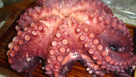 Como cozinhar polvo
