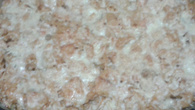 Macarrão primavera