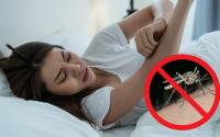 Muito calor e mais mosquitos: veja como fazer repelente natural de acordo com farmacêutico