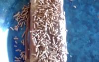 Panqueca de chocolate com recheio de brigadeiro