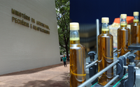 Ministério da Agricultura apreende 6 mil garradas de azeite de oliva adulteradas; saiba como identificar se o produto é falsificado