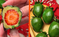 Morango do amor de pistache: receita viral ganha uma versão com o ingrediente queridinho da confeitaria e você precisa experimentar