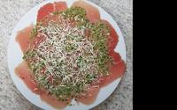 Molho para carpaccio sem mostarda