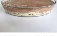 Torta de bolacha perfeita e simples